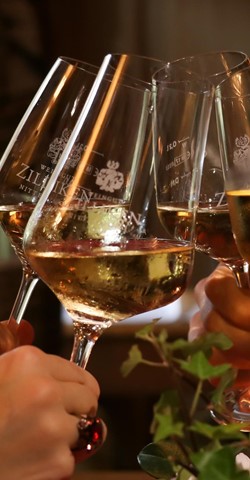 Weinprobiertag-Proufdag-regionale Winzer von Saar und Obermosel präsentieren ihre Jungweine
