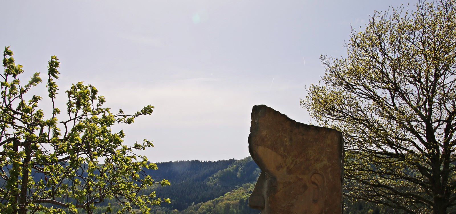 Wawerner Bruch