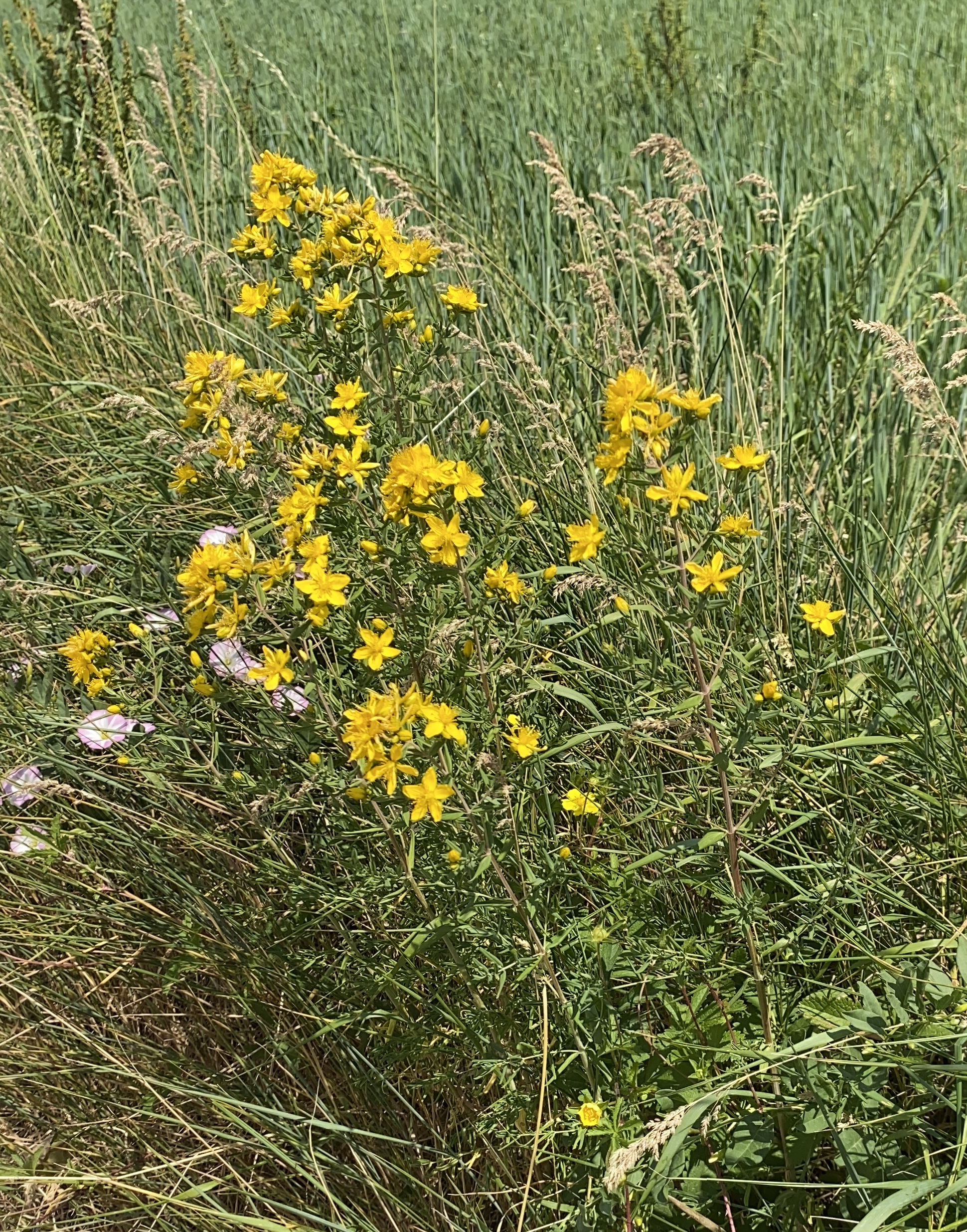 ©Naturpark Saar-Hunsrück