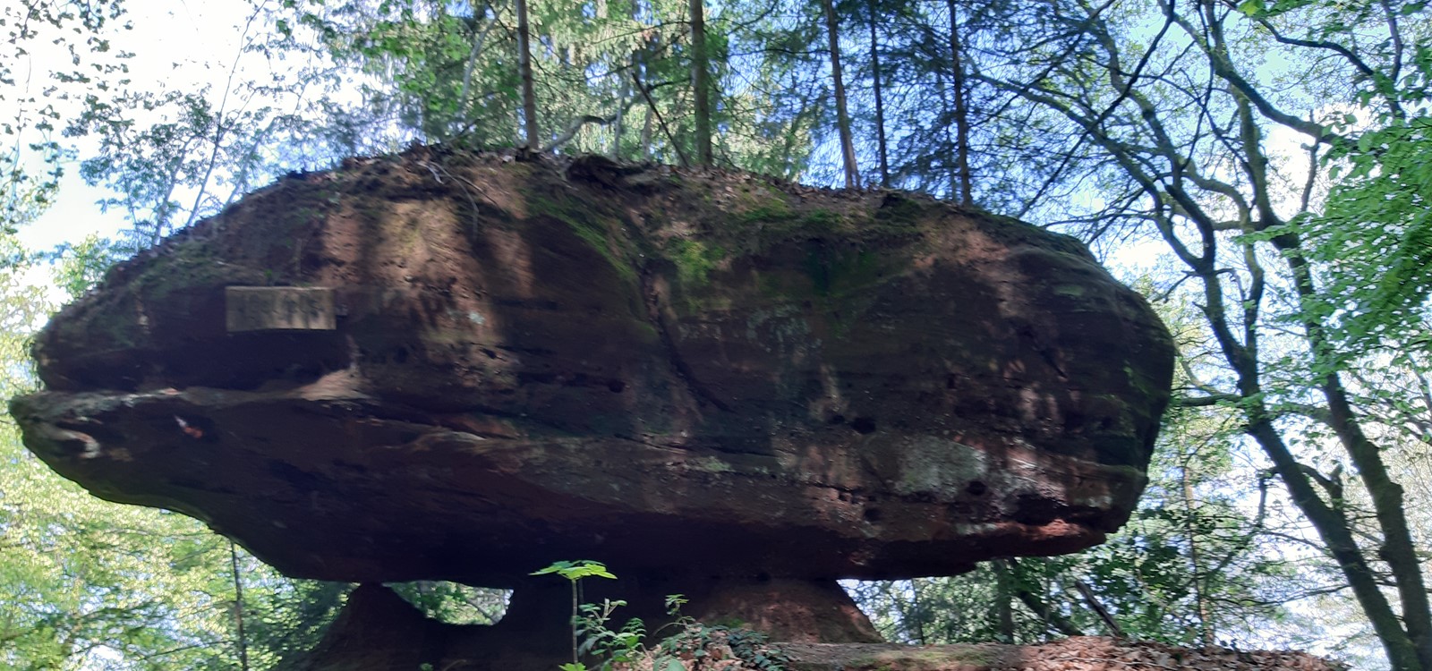 Igelfelsen