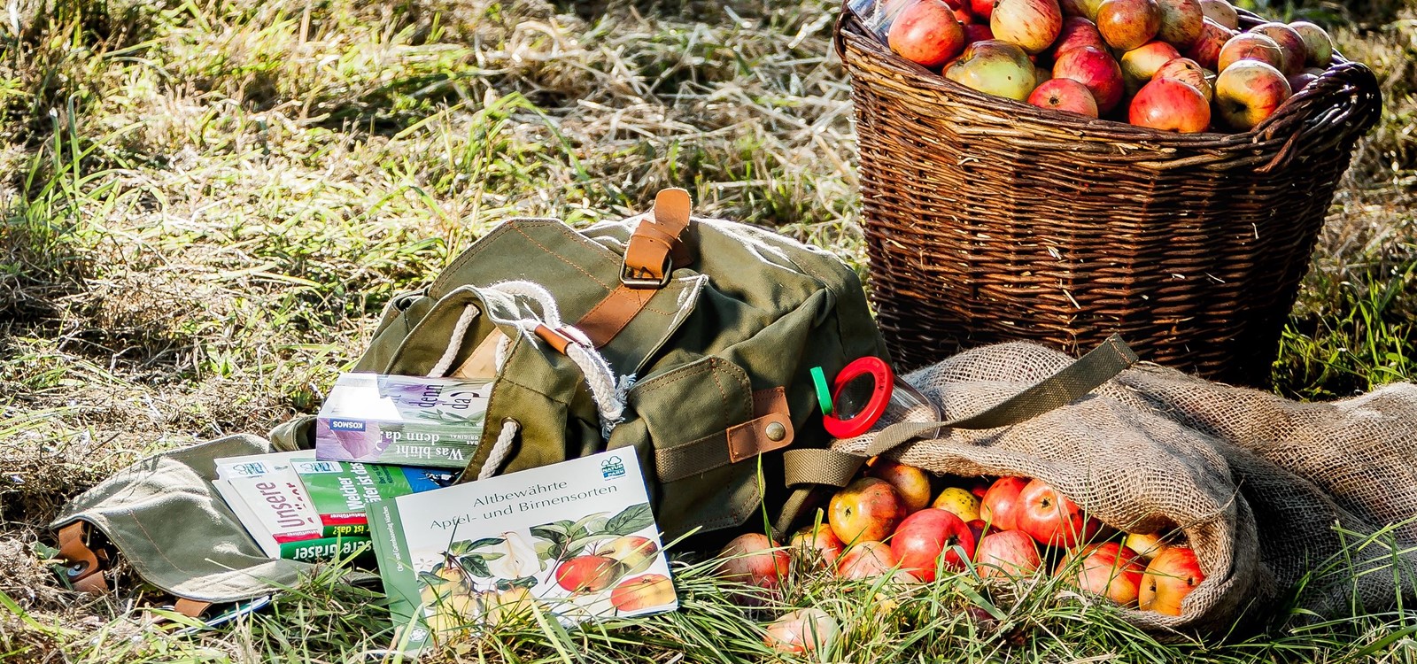Streuobstwiesen-Rucksack