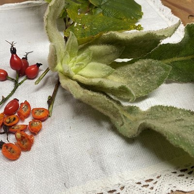Räucherworkshop mit Wildpflanzen für Kinder