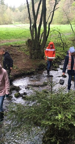 WasserWissensExkursionen Thema: Lebensraum Bach