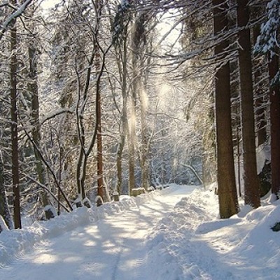 Die Natur im Winter©VDN-Fotoportal/Norbert Schreiber