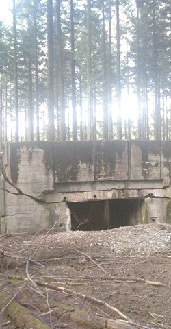 Spurensuche am ehemaligen Westwall