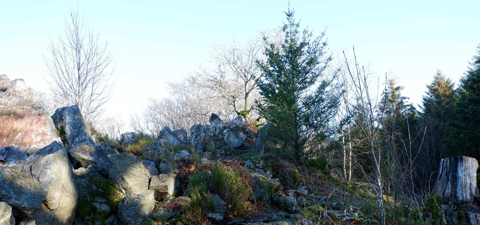 Wehlenstein