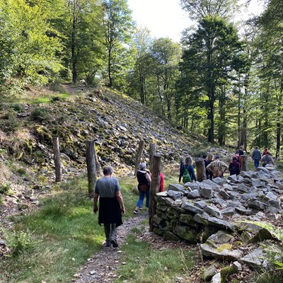 Archäologische Wanderung "Spuren im Schatten des Hunnenrings" in Schwarzenbach