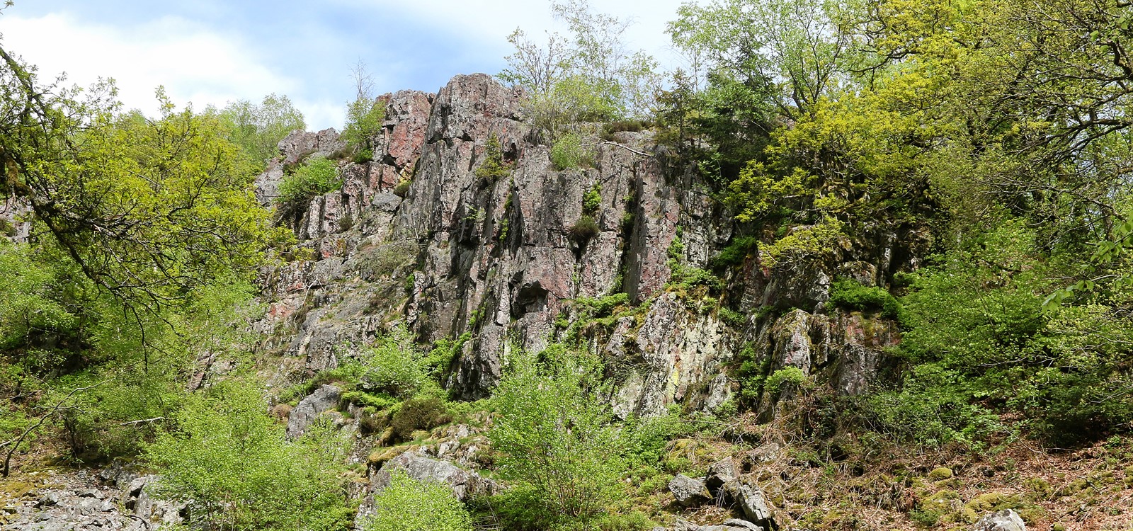 Mannfelsen