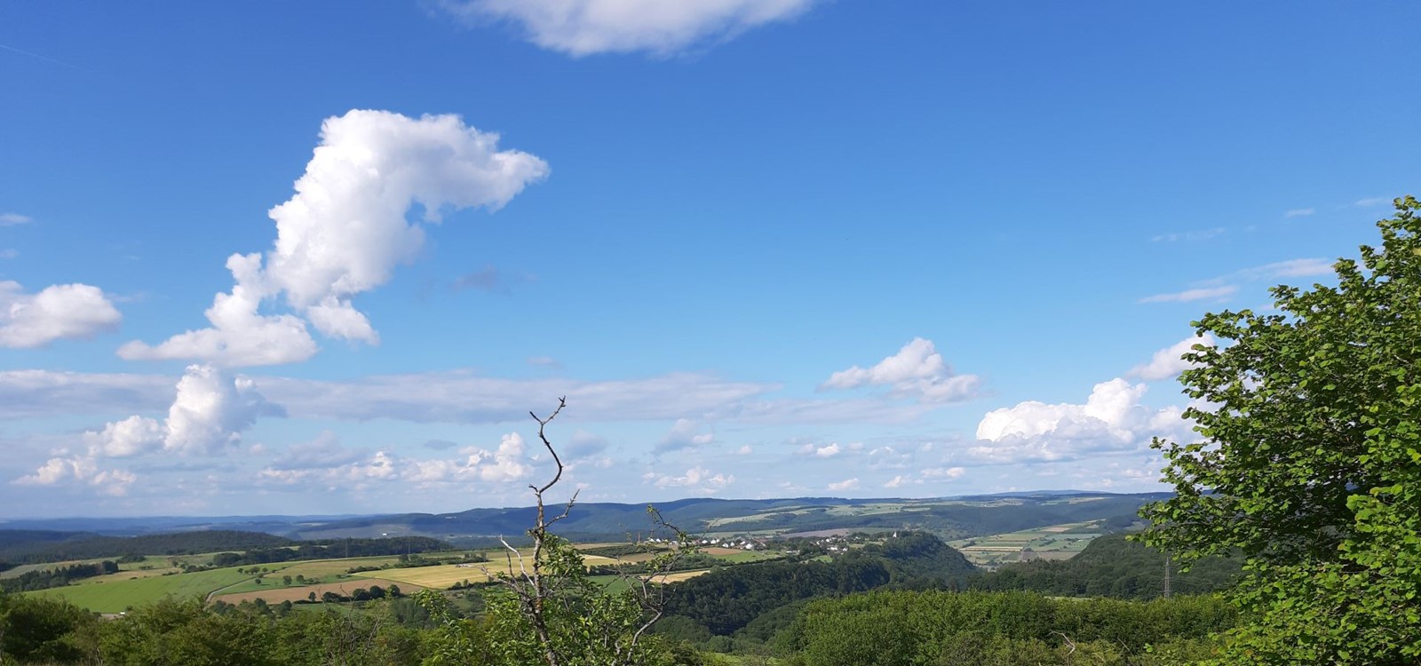 Eiderberg