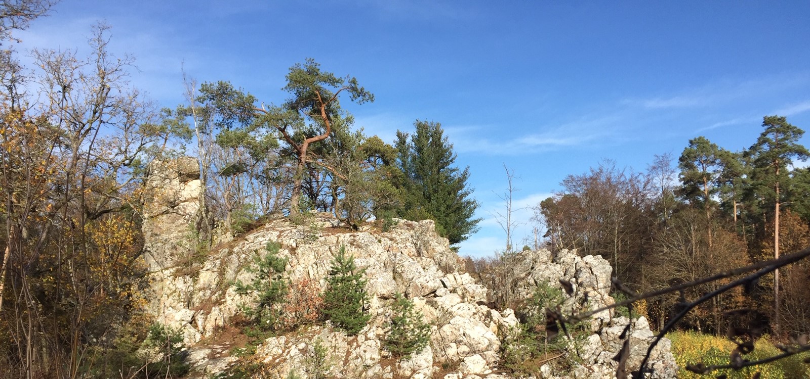 Graue Eltz