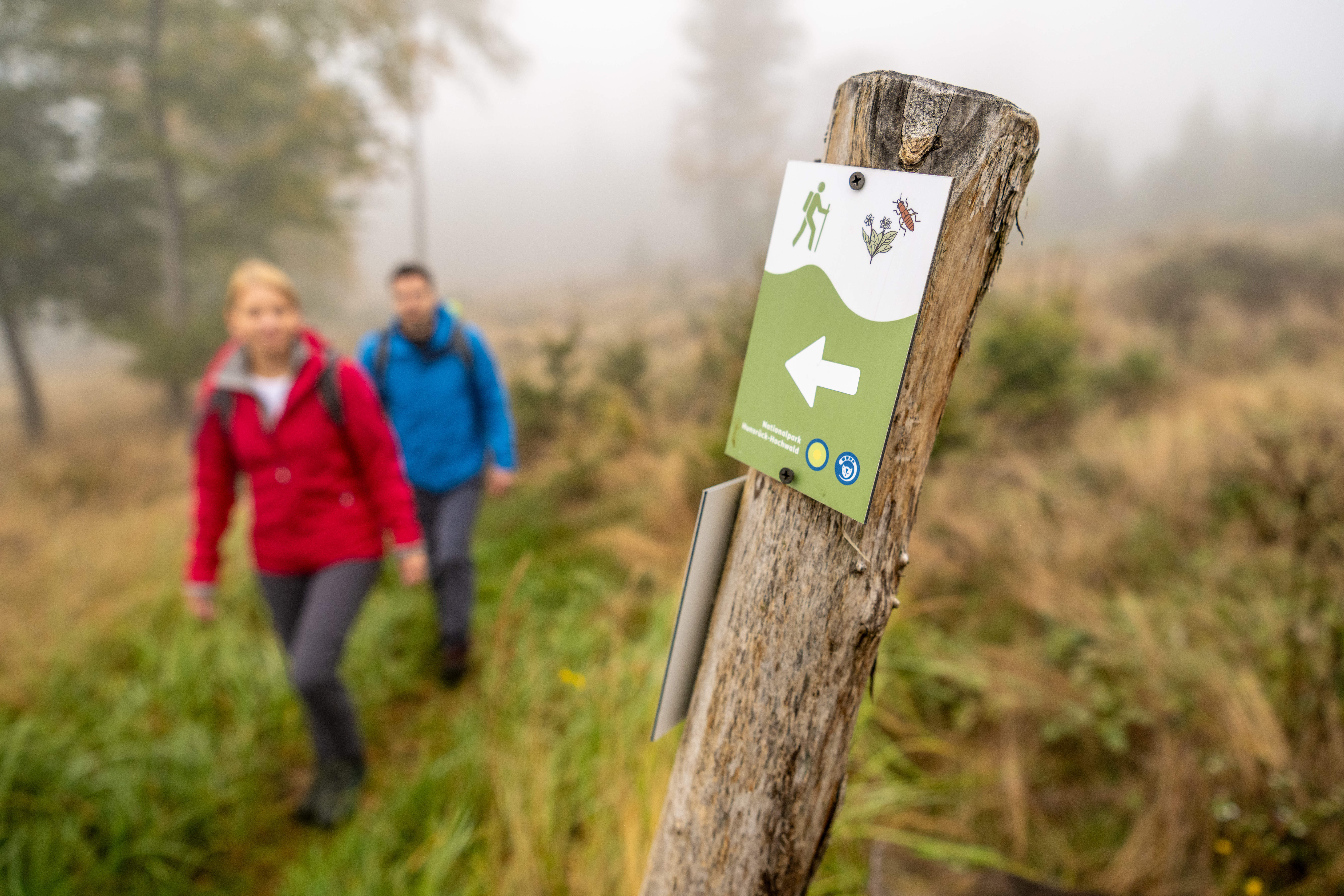 Naturvielfalts-Pfad NLPHH 2026
