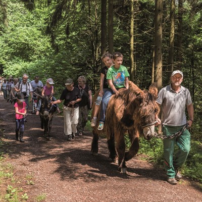 Erlebniswanderung_c Gerd Wehlack