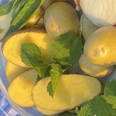 Ebbes von Hei - Kartoffeltage