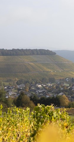 Ayler Dorf- und Weinkirmes