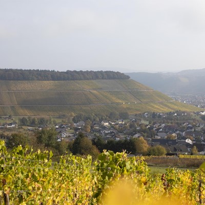 Ayler Dorf- und Weinkirmes©Saar-Obermosel-Touristik