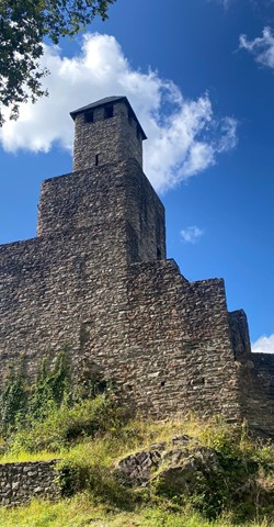 Lebensraum Burg Grimburg: Auf den Spuren der Natur rund um die Burg