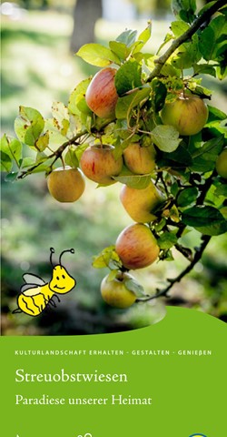 Herbstlicher naturkundlicher Spaziergang über die Streuobstwiese mit Vortrag