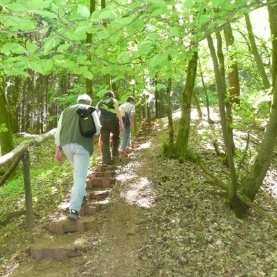 wird verschoben: Unterwegs im Naturpark mit Bürgermeister Stephan Rausch auf dem Rötelsteinpfad