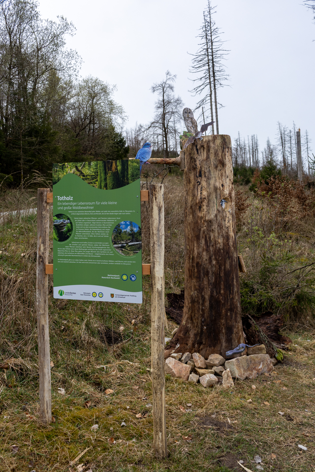 ©Nationalpark Hunsrück-Hochwald/Sven Grajek